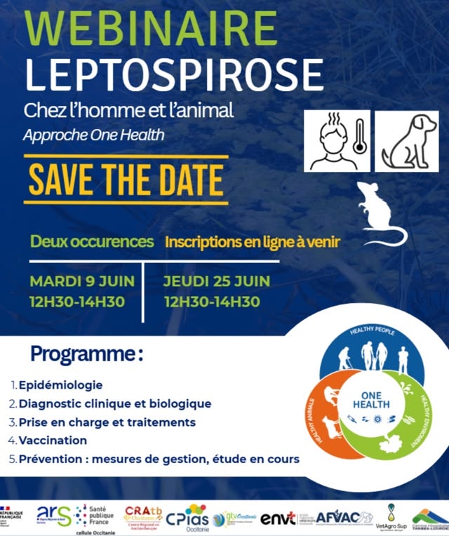 webinaire leptospirose 0626