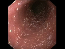 68e71dd7ad77fe311b6f2ced80f009f5