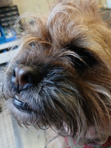 1b8566692049edb79369fcc138a7de21