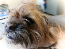 f0651e006b074ae335821807898044bd