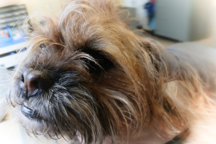 f0651e006b074ae335821807898044bd