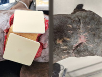 6c0ed8f5d09ecbdc4edcdfbbb3fd12ff