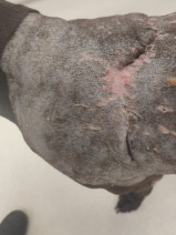 a6b604065bf5b8d4c0382d5e9a0eeef2