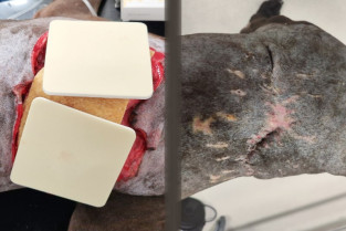 6c0ed8f5d09ecbdc4edcdfbbb3fd12ff