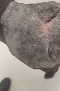 a6b604065bf5b8d4c0382d5e9a0eeef2