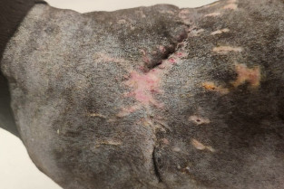 bff114e0ce3d5f92cb5a2af1fc8c10f6