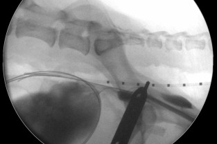 d74a528b01ea2bc8325f1b61be0842bb