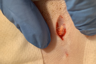 505e7c2908691febf95805944dceb1bc