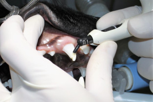 cc42833e9db5e4ed09b5d8ddcb3cf4e0