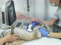 487d3282a3e2e2676f4f0ef8b927a040