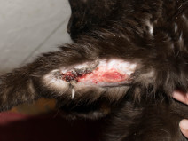 e566d75b4840e8f4513e13bf0e0768bb