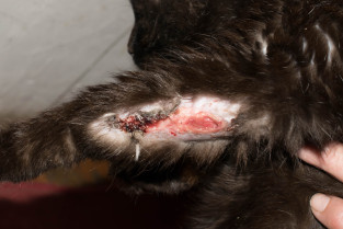 e566d75b4840e8f4513e13bf0e0768bb