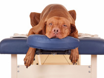 7c4ca778899077d6eaf6e09c604f0626