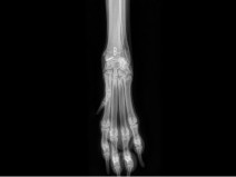 0b866a1be3eb77d129adfba085c99e5f