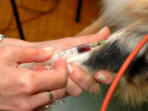 36914a9e5cbf86749c20732271715d24