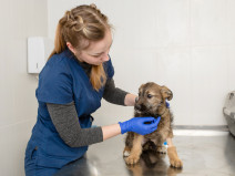 d8bb77d1719de7071a1fc1da6280043f