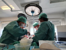 08bf79df109c6f2c5b6a3d63f7f060aa