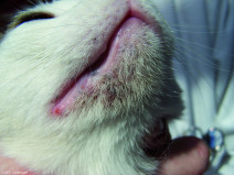 5101044a7da7464a651c0b0faff9cde1