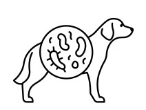 49eb7a871e23cf8889f491790a616757