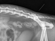 b95a8611d31cd59eaa751e671cbd1cf5