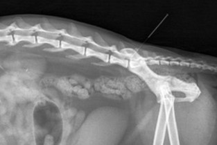 b95a8611d31cd59eaa751e671cbd1cf5