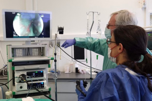 52f333d2617ed0138de300fc1f7693d0