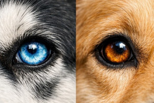 c61a5791d141d90418dd0b002bedb1cf