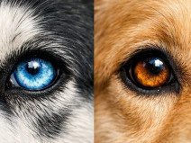 fa4889041012e272f58c65373126e6c5