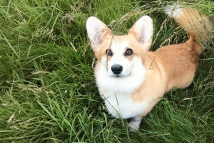 c987729ce1c08045b9e610a46255d3c0