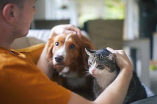 1d81e020a2386bbfa5b0f159be689121